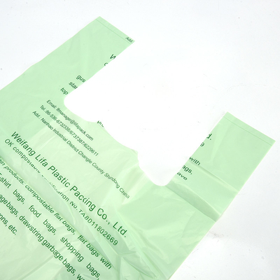 40% Structure du matériau biosourcé Sac à dos en PVC nouvellement conçu et biodégradable