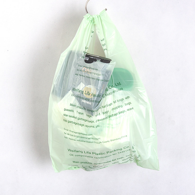 40% Structure du matériau biosourcé Sac à dos en PVC nouvellement conçu et biodégradable