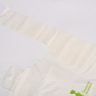 Sacs à bas carré pour logo personnalisé Emballage couleur T-shirt en plastique Sacs biodégradables
