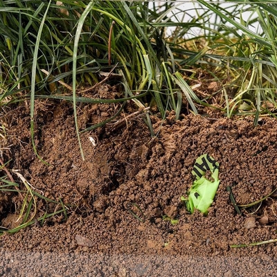 Sacs de magasinage à base de fécule de maïs biodégradable compostable pour emballage alimentaire