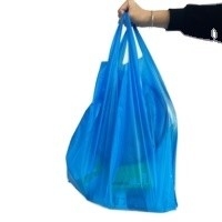Impression du logo PET PETAL PE Sac en plastique personnalisé avec poignée flexiloop et impression personnalisée