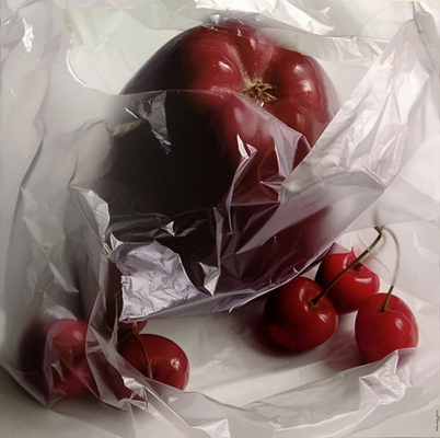 Sac de conservation de la fraîcheur personnalisé pour ménage de qualité alimentaire gilet type réfrigérateur en rouleau uniforme